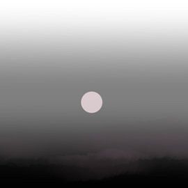 Pale Heath Moon by Csilla Albert