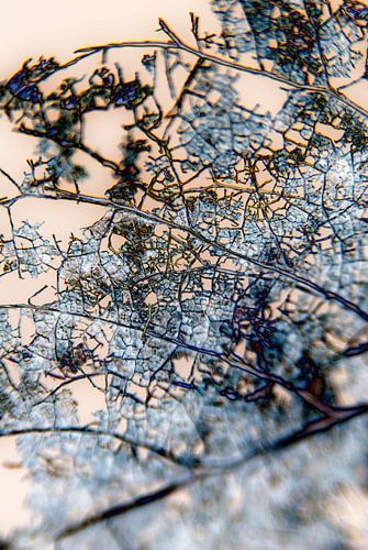 Abstraktie van Ding #002b