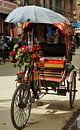 Rickshaw in Kathmandu, Nepal van Xandra Ribbers thumbnail