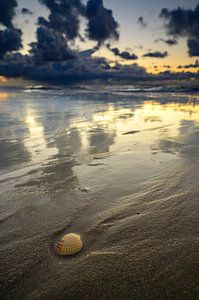 Zonsondergang op het strand van Texel met een schelp aangespoeld op de kust van Sjoerd van der Wal Fotografie