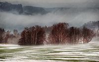Mistig landschap