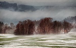 Mistig landschap