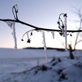 Winter Wonderland van Josef Rast Fotografie