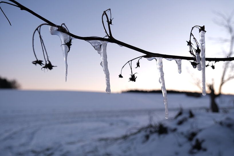 Winter Wonderland by Josef Rast Fotografie
