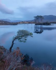 Silence at the Blue Hour – Loch Assynt by Cor de Bruijn Photography