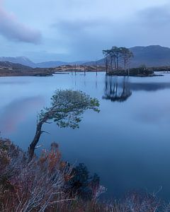 Stille in der Blauen Stunde – Loch Assynt