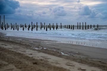Palendorp strand Petten, Nederland van Eigenwijze Fotografie