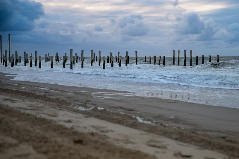 Palendorp beach Petten, Netherlands by Eigenwijze Fotografie