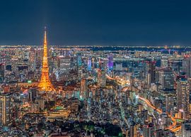 beautiful city at night