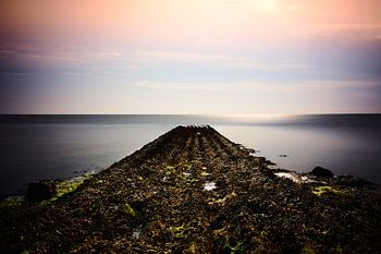 La route de l'Atlantide