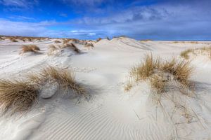 Tempête dans les dunes de Texel