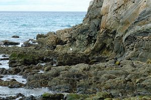 Playa del Silencio, ‎⁨Cudillero⁩, ⁨Costa Verde⁩, ⁨Spanje⁩ van Eugenio Eijck