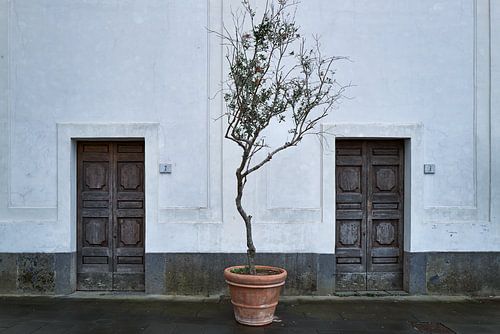 Napoli, Naples