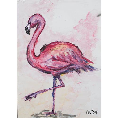 Flamingo extra pink