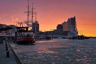 Hamburg - Elbphilharmonie (Elphi) and Landungsbrücken by Das-Hamburg-Foto thumbnail