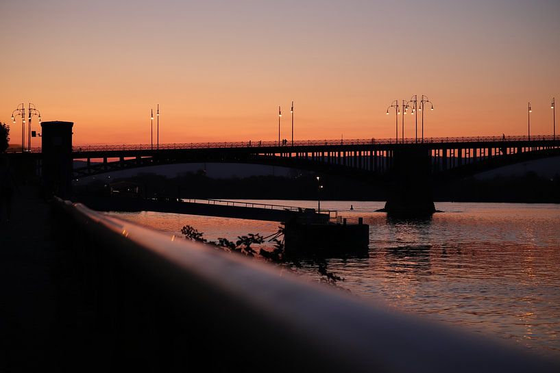 Theodor Heuss Bridge, Mainz by Tim Zentgraf