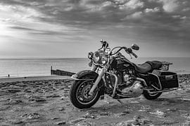 Harley Davidson Road King by anne droogsma