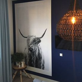Kundenfoto: portrait of a highland cow von Dorit Fuhg, auf fototapete
