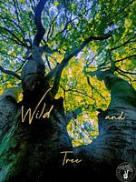 Wild und Baum