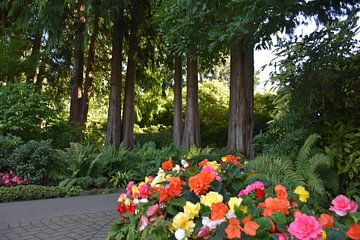 Ein Gartenweg im Sommer von Claude Laprise