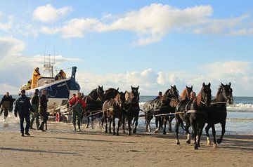 Rettungsboot für Pferde von Rinnie Wijnstra