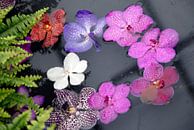 gekleurde bloemetjes in het water van Carmela Cellamare thumbnail