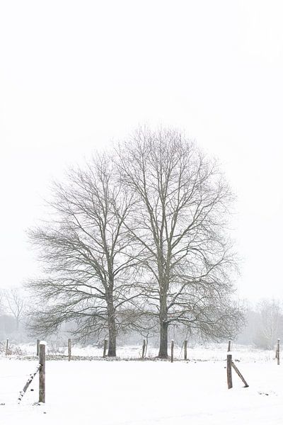 Winterlandschaft von picsbyronenvief