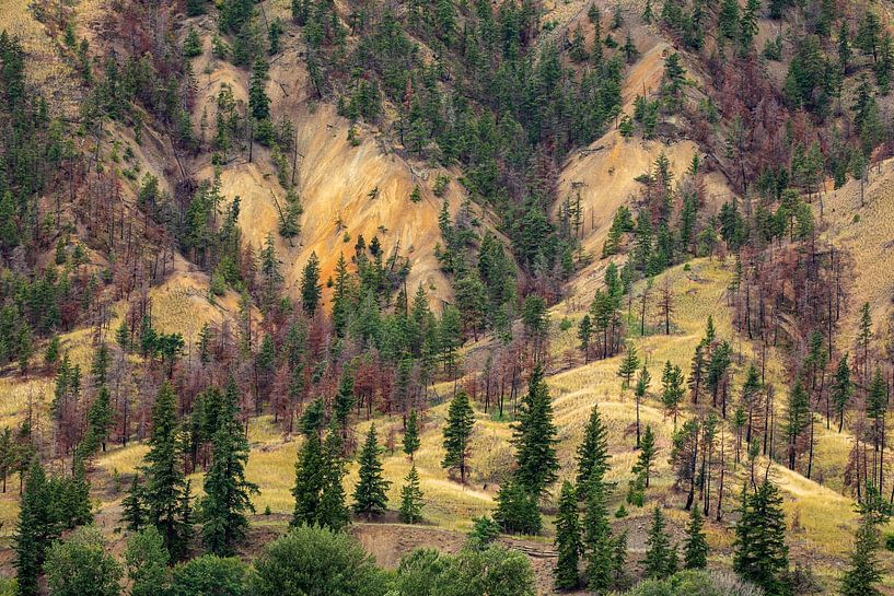 Les Painted Hills près de Clinton en Colombie-Britannique par Roland Brack
