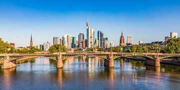 Skyline en het bankdistrict van Frankfurt in Frankfurt am Main van Werner Dieterich