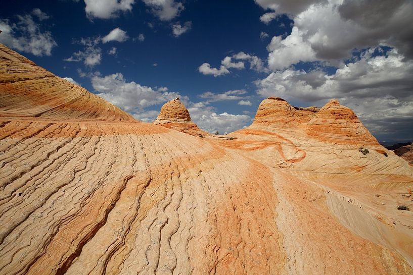 Rotsformaties in de North Coyote Buttes, deel van het Vermilion Cliffs National Monument. Dit gebied van Frank Fichtmüller
