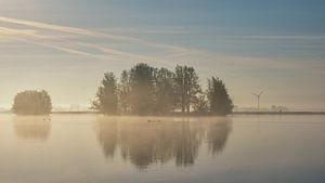 Île aux arbres