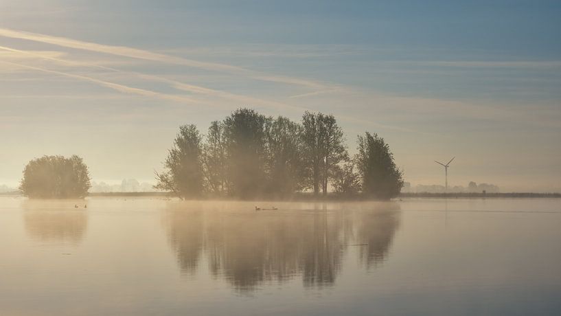Tree island by Lex Schulte
