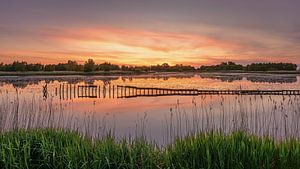 Zonsondergang aan het water bij Ae's Woudbloem een natuurgebied in de provincie Groningen