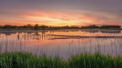 Sonnenuntergang am Wasser bei Ae's Woudbloem, einem Naturschutzgebiet in der Provinz Groningen von Marga Vroom