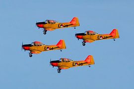 Fokker S-11 Lehrflugzeug. Fokker Four Airshow-Team von Frans Lemmens