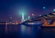 Skyline Rotterdam met de Erasmusbrug van Martijn van der Nat thumbnail