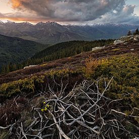 Fire in the sky von Rilind Hoxha