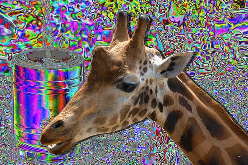 Girafe sur Franciska de Vos