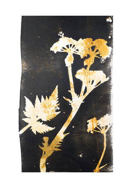 Botanische planten en bloemen afdruk Fluitenkruid van Angela Peters