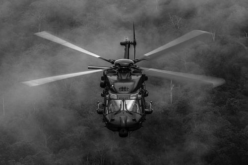 Hélicoptère NH90_TTH au-dessus de la jungle sur ross_impress