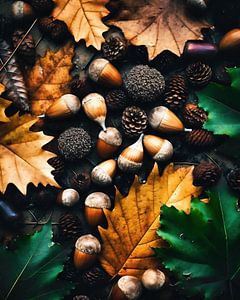 Herbststimmung