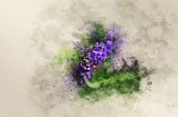 Lavendel von Sharon Harthoorn Miniaturansicht