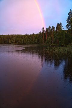 Regenboog over een Zweeds meer van Martin Köbsch