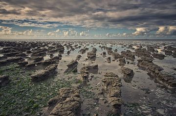 De kleiende zee sur Remco de Vries