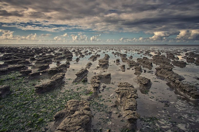 De kleiende zee by Remco de Vries