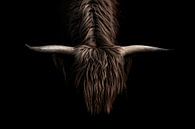 Mystical Power - horns of a Scottish highlander by Femke Ketelaar thumbnail