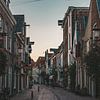 Deventer van Tessa Dommerholt