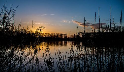 Zonsondergang aan provinciaal domein De Gavers