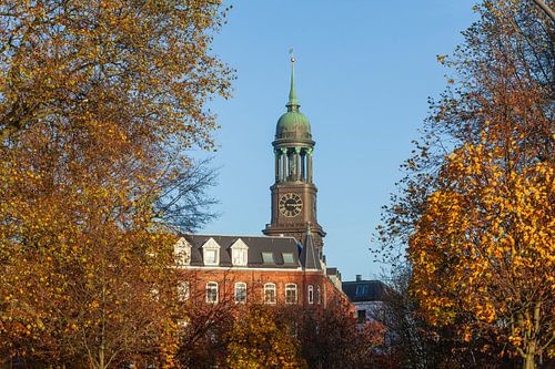 Hamburg Michel in the evening light, Hamburg, Germany