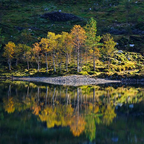 Colourful splendour by Sabrina de Vries